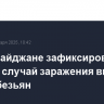 В Азербайджане зафиксирован первый случай заражения вирусом оспы обезьян