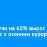 У иркутян на 60% вырос интерес к осенним курортам