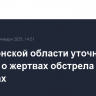 В Херсонской области уточнили данные о жертвах обстрела в Бехтерах