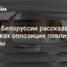 В ЦИК Белоруссии рассказали о попытках оппозиции повлиять на выборы
