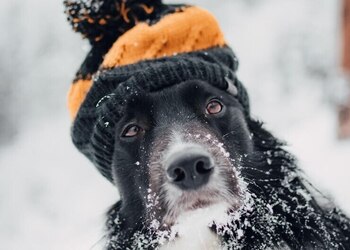 В Амурской области потеплеет до -9°