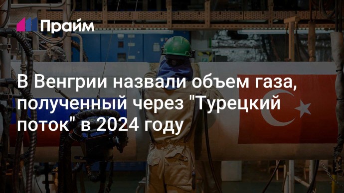 В Венгрии назвали объем газа, полученный через "Турецкий поток" в 2024 году