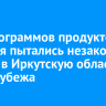 20 килограммов продуктов питания пытались незаконно ввезти в Иркутскую область из-за рубежа