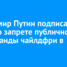 Владимир Путин подписал закон о запрете публичной пропаганды чайлдфри в России