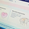 Власти рассказали, какие госуслуги были популярны у калининградцев в 2024 году