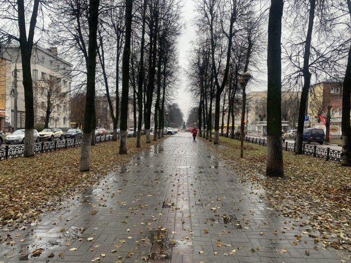 Синоптики: ноябрь принесет снег в Ярославскую область