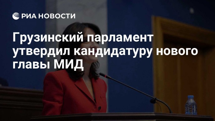 Грузинский парламент утвердил кандидатуру нового главы МИД