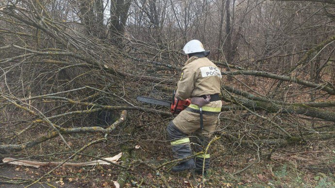 В Тульской области спасатели устраняют последствия порывистого ветра