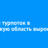 Летний турпоток в Иркутскую область вырос на 20%