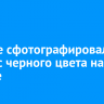 Ученые сфотографировали выброс черного цвета на Солнце