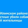 В Усть-Илимском районе неизвестные убили собак местной жительницы