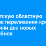 В Иркутскую областную станцию переливания крови поступили два новых автомобиля