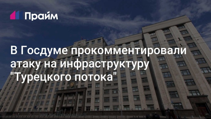 В Госдуме прокомментировали атаку на инфраструктуру "Турецкого потока"