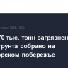 Почти 170 тыс. тонн загрязненного песка и грунта собрано на Черноморском побережье