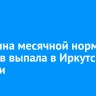 Половина месячной нормы снега выпала в Иркутске за сутки