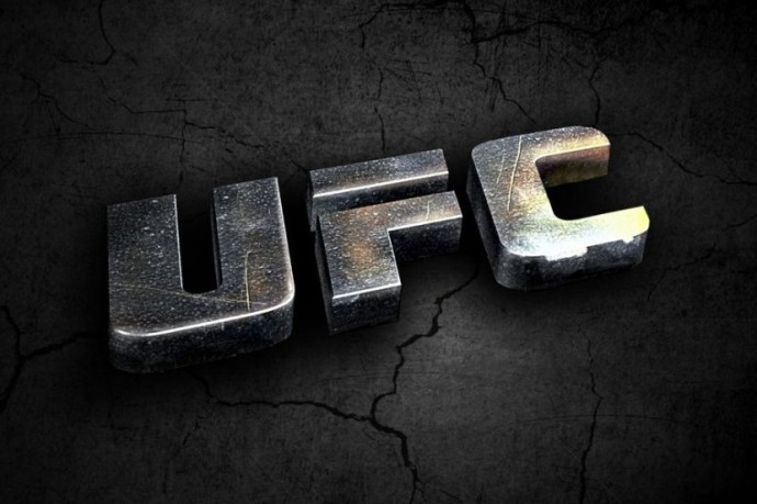 UFC 2024: главные прорывы года в четырёх весовых категориях