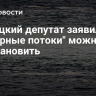 Немецкий депутат заявил, что "Северные потоки" можно восстановить