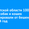 В Иркутской области 100 тысяч собак и кошек вакцинировали от бешенства за 2024 год