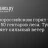 Под Новороссийском горят уже больше 50 гектаров леса. Тушение осложняет сильный ветер