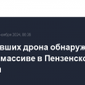 Три упавших дрона обнаружены в лесном массиве в Пензенской области