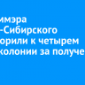 Экс-заммэра Усолья-Сибирского приговорили к четырем годам колонии за получение взятки