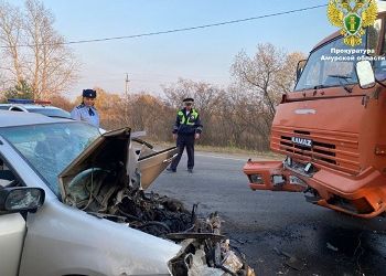 Женщина и ребенок пострадали в Приамурье в лобовом ДТП с КамАЗом