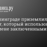 В Калининграде приземлился самолет, который использовали при обмене заключенными РФ и США