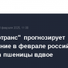 "Русагротранс" прогнозирует сокращение в феврале российского экспорта пшеницы вдвое