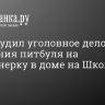 СК возбудил уголовное дело после нападения питбуля на пенсионерку в доме на Школьной