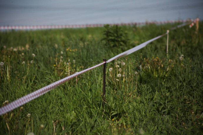 ​Больше всего нарушений земельного законодательства в Перми зафиксировано на улице Промышленной