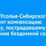 Мэрия Усолья-Сибирского выплатит компенсацию ребенку, пострадавшему от нападения бездомной собаки