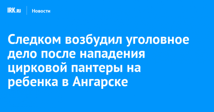 Следком возбудил уголовное дело после нападения цирковой пантеры на ребенка в Ангарске