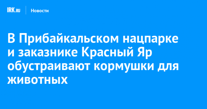 В Прибайкальском нацпарке и заказнике Красный Яр обустраивают кормушки для животных