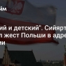 "Жалкий и детский". Сийярто оценил жест Польши в адрес Венгрии