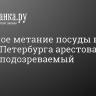 За пьяное метание посуды в пабе в центре Петербурга арестован второй подозреваемый