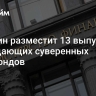 Минфин разместит 13 выпусков замещающих суверенных евробондов