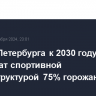 Власти Петербурга к 2030 году обеспечат спортивной инфраструктурой 75% горожан