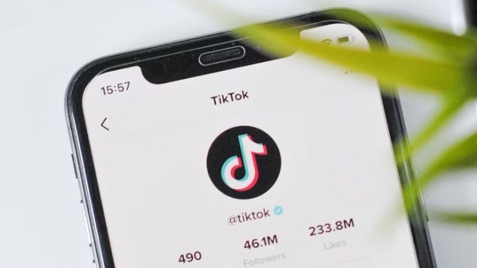 Правительство США настаивает на рассмотрении закона о запрете TikTok без задержек