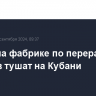 Пожар на фабрике по переработке отходов тушат на Кубани