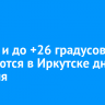 Дождь и до +26 градусов ожидаются в Иркутске днем 26 июля