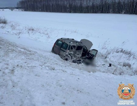 В Башкирии женщина разбилась в страшном ДТП