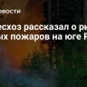 Рослесхоз рассказал о риске лесных пожаров на юге России