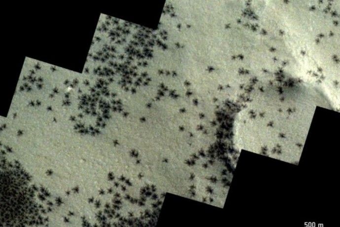 Камера запечатлела на поверхности Марса жутких «пауков»