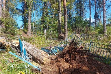 В Тверской области добровольцы пилят деревья на пострадавшем от урагана кладбище