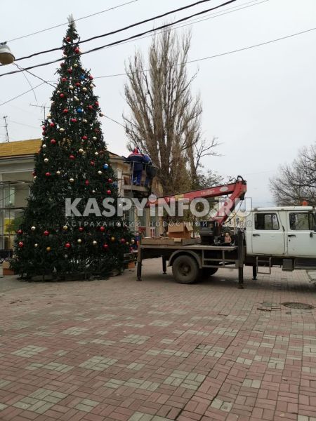 Какую елку установили в центре Астрахани 