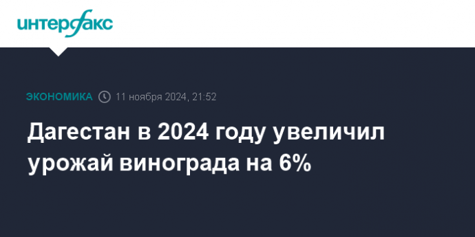 Дагестан в 2024 году увеличил урожай винограда на 6%