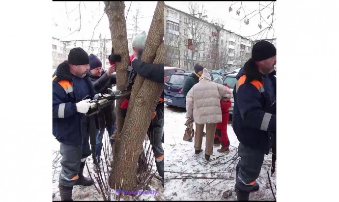 В Ярославле спасатели помогли застрявшей между стволами деревьев девочке