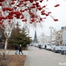 Белгородская область вошла в топ-10 регионов по эффективности госуправления