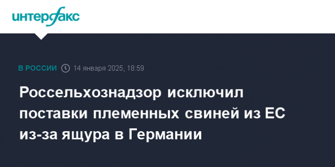 Россельхознадзор исключил поставки племенных свиней из ЕС из-за ящура в Германии