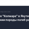 На шахте "Колмара" в Якутии при обрушении породы погиб рабочий